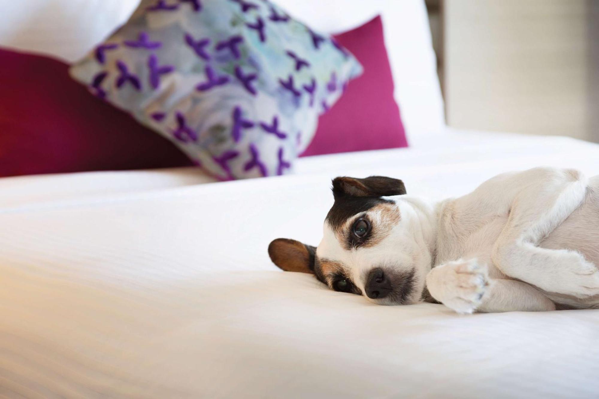 Coast Plaza By Apa Hotel 4*
