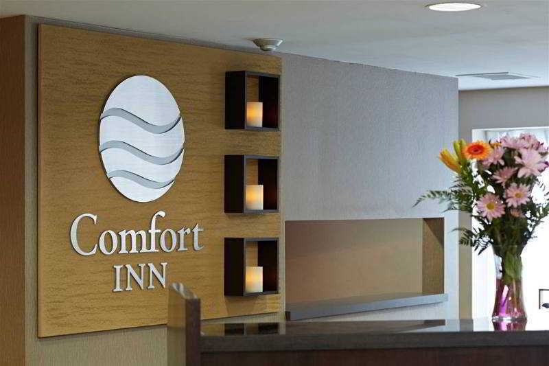 Inn Comfort West Edmonton