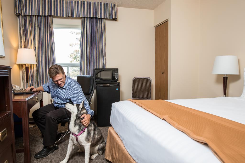 Hotel Travelodge By Wyndham South 3*