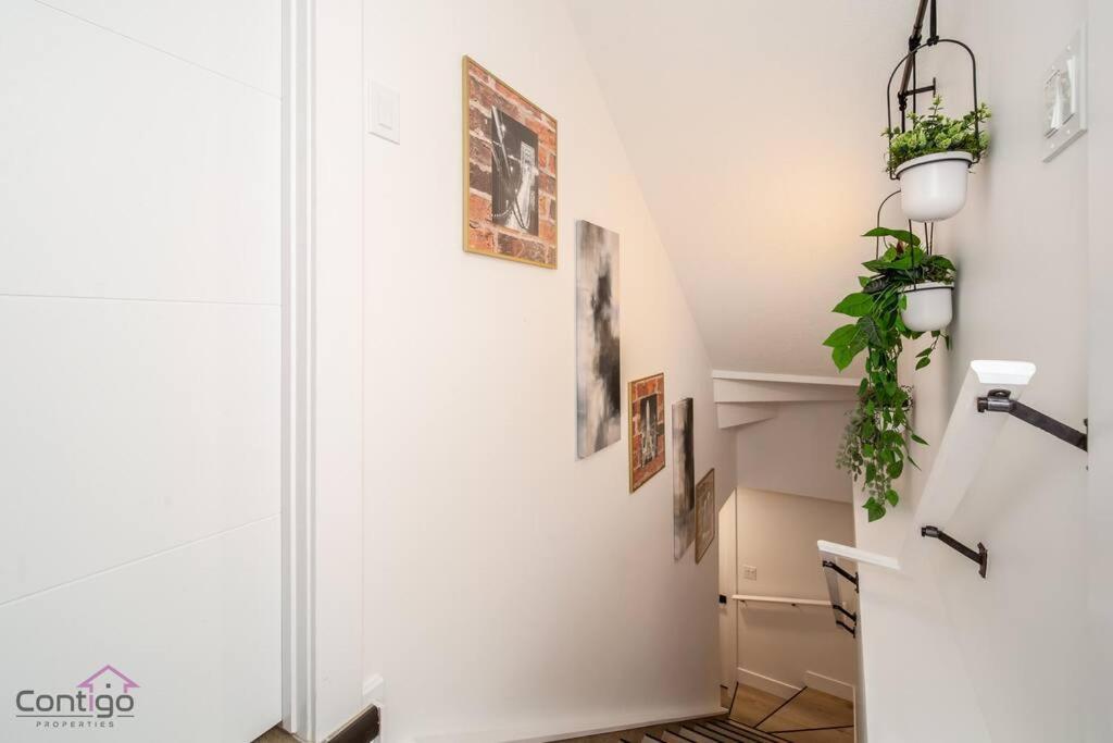Luxe New York Style Bsmt Suite, Near Dt & Wem, King Bed, Wifi *
