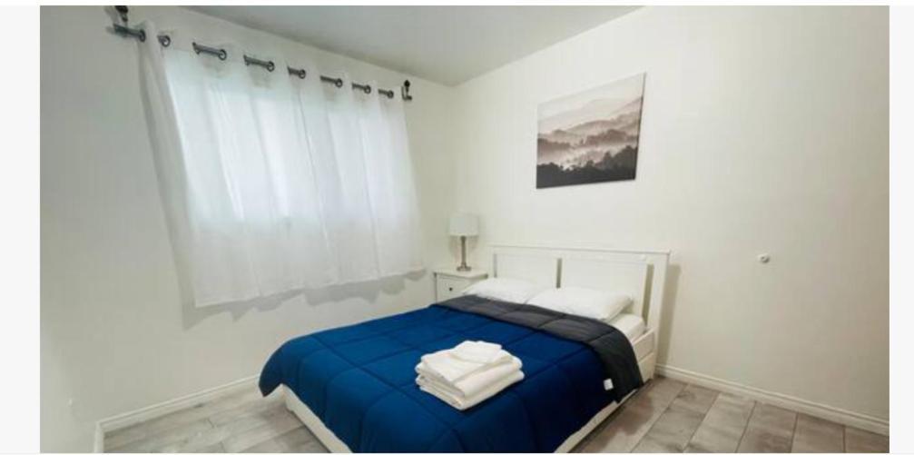 Private With Tv, Wifi, Netflix, Parking Homestay