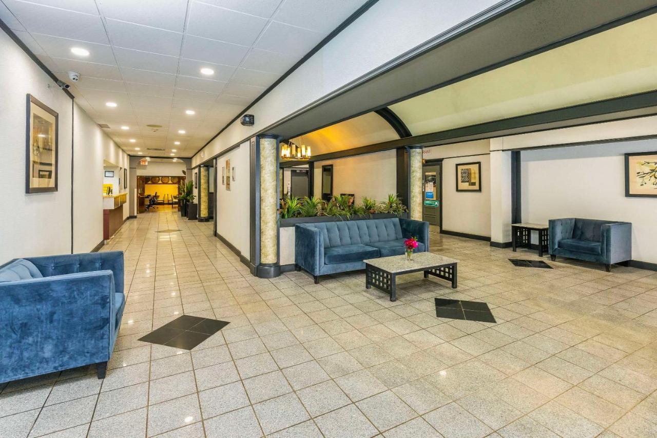 Hotel Comfort & 3*
