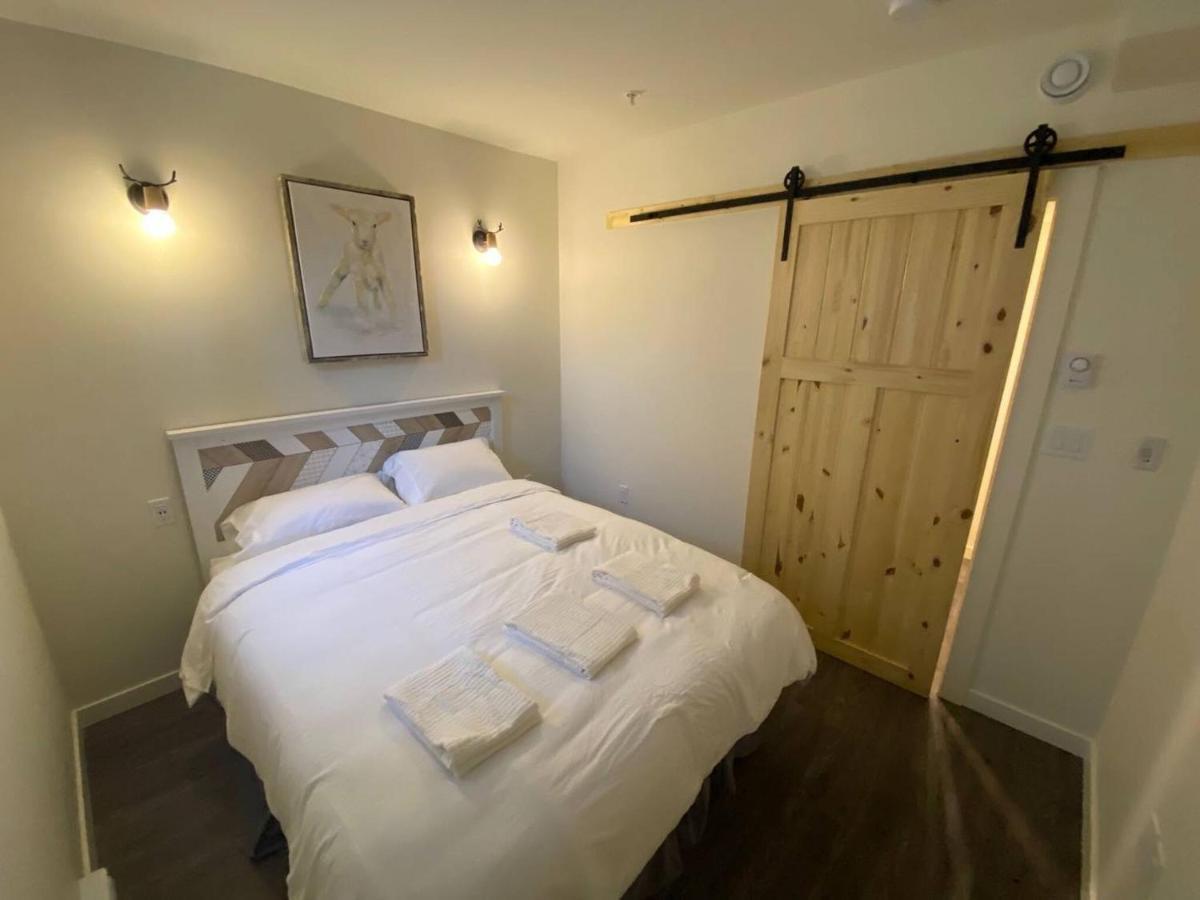 Brand New Dt 1 Bedroom Close To Edmonton, Canada *
