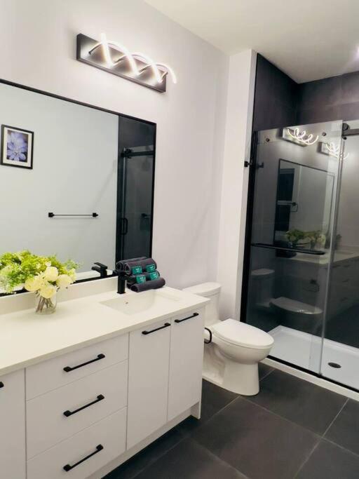 M19 Stylish Modern Downtown