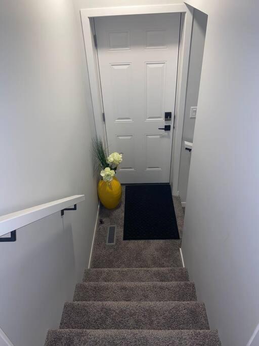 Folte's Away From 2 Bedrm Basement Apartment *