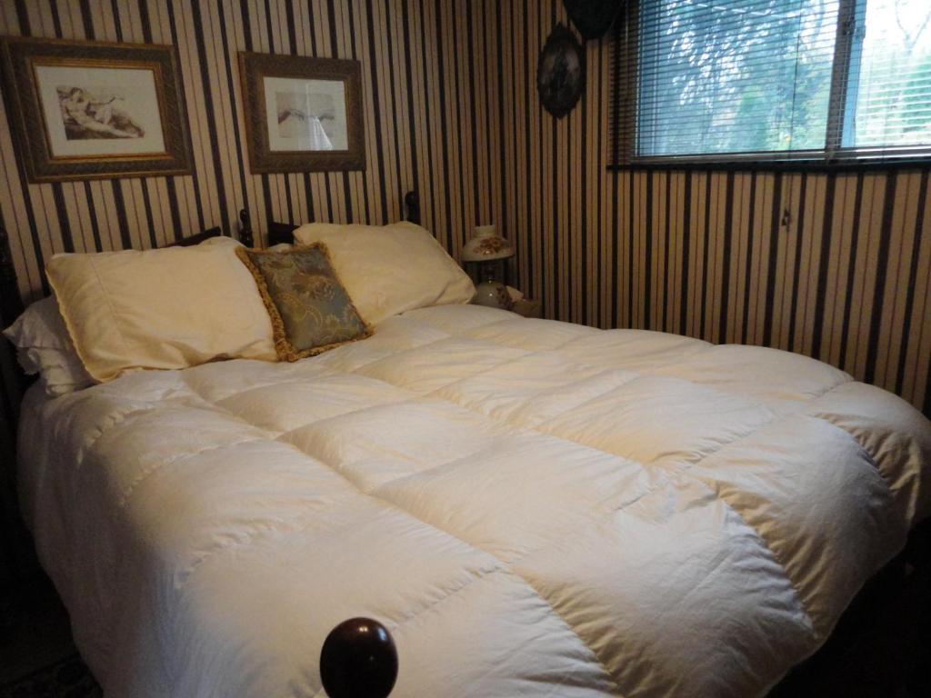 Northern Lights Bed & Breakfast