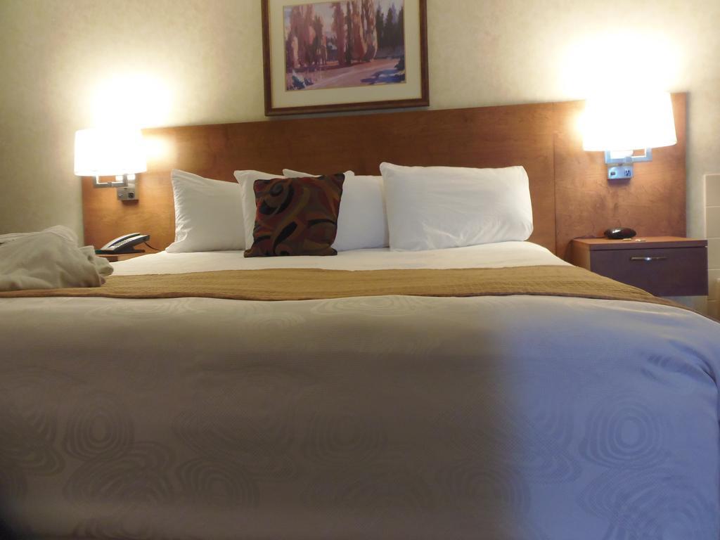 Hotel Rosslyn &