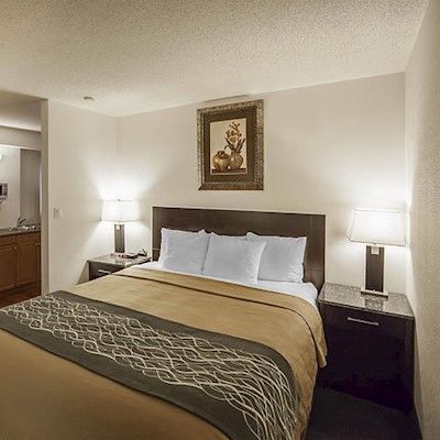 Comfort & Hotel
