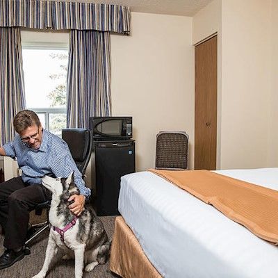 Travelodge By Wyndham South Hotel 3*