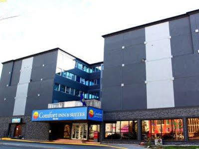 Comfort & Hotel