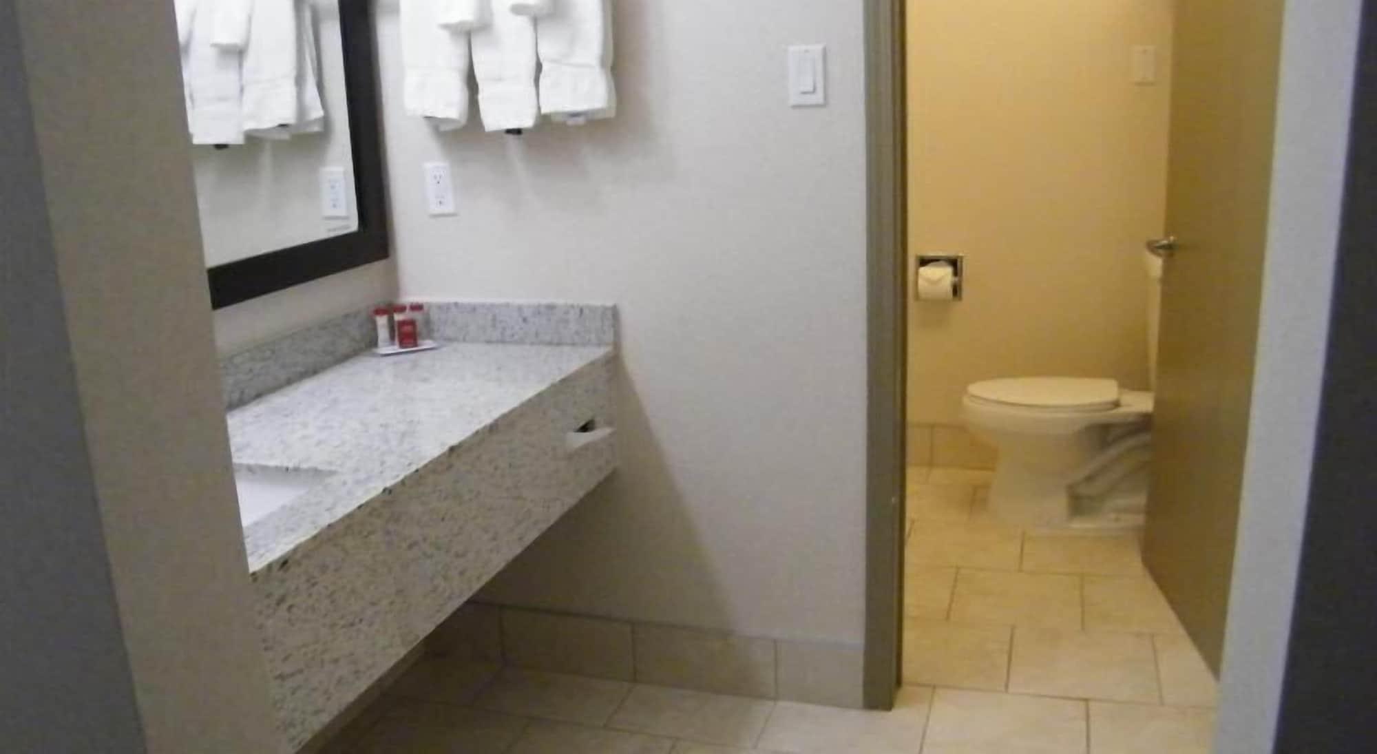 Hotel Ramada By Wyndham South Edmonton
