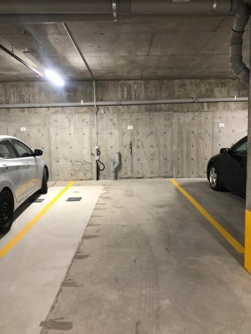 Apartment Spacious 2bedroom Free Parking King Bed Close To Dt *
