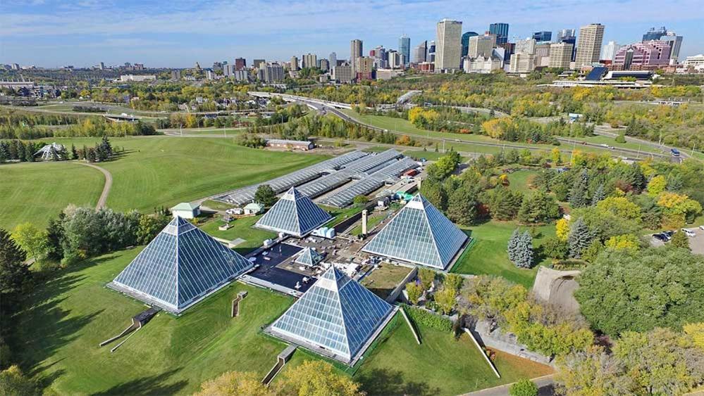 Tropical Oasis - King Beds - Free Netflix & Parking - Fast Wi-fi Edmonton