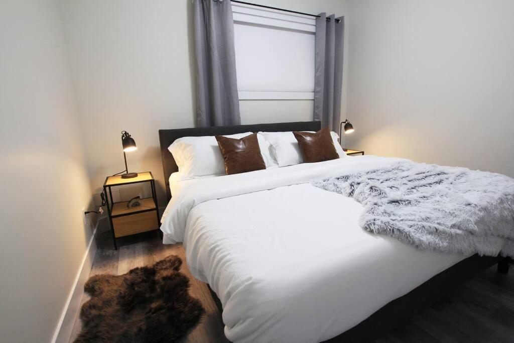 Apartment Executive Bsmt Suite, King Bed, 5 Min To Dt & Whyte Ave, Sleeps 6!