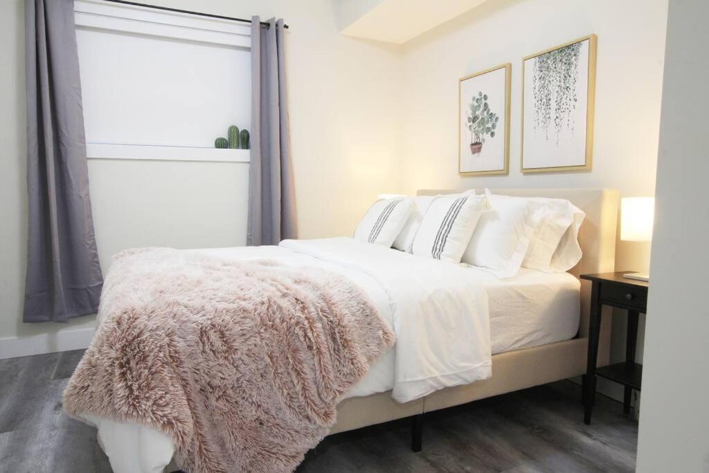 Executive Bsmt Suite, King Bed, 5 Min To Dt & Whyte Ave, Sleeps 6!