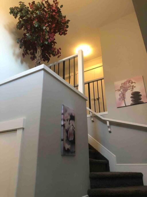 Villa Cozy And Beautiful 3 Bedroom House Close To