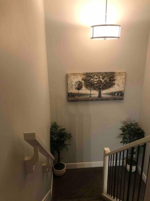 Cheerful And Beautiful 3 Bedroom Close * Edmonton