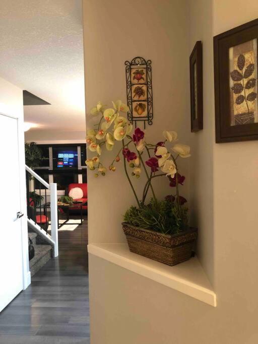 Villa Cheerful And Beautiful 3 Bedroom Close Edmonton