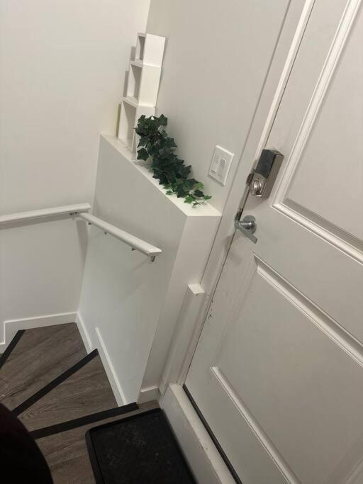 Apartment Brand New 1 Bedroom Basement Suite. Wi-fi,netflix Edmonton