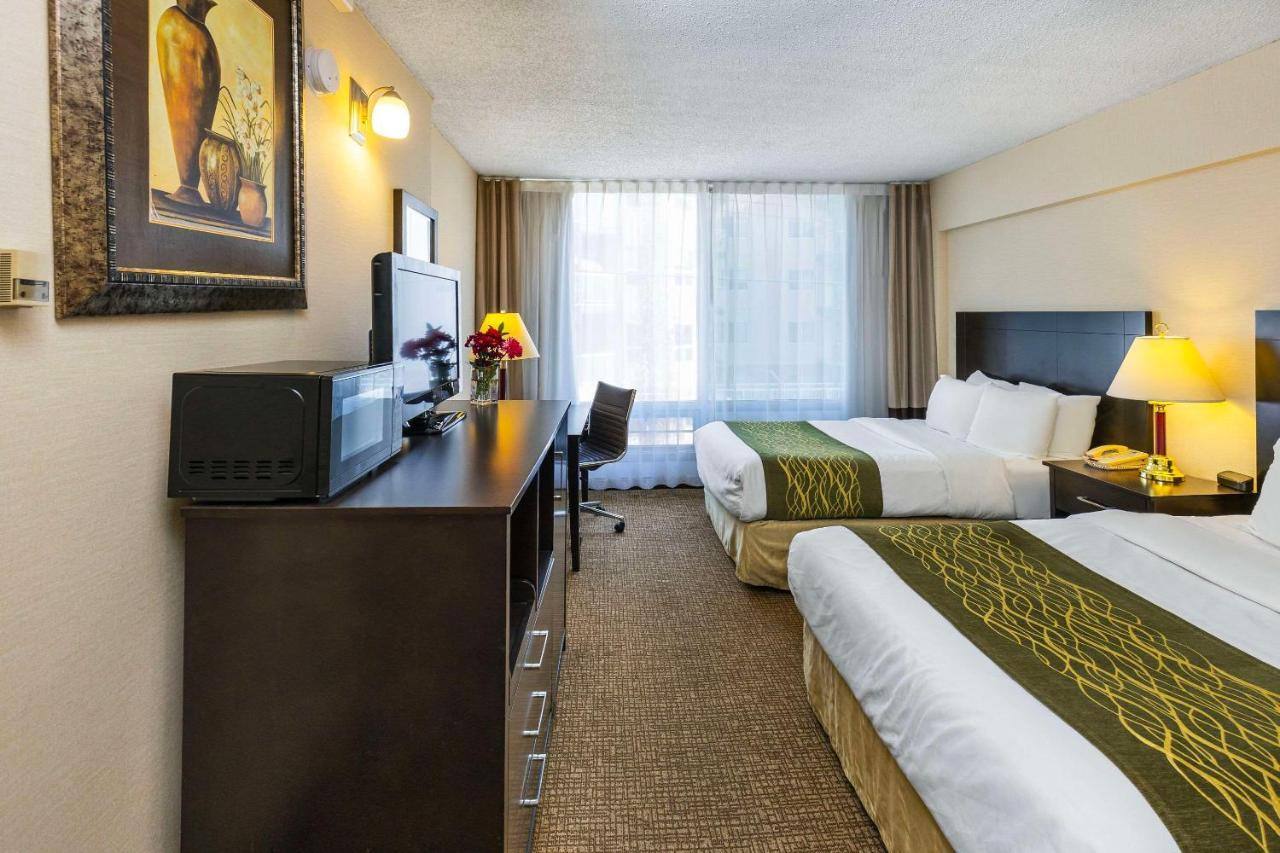 Comfort & Edmonton