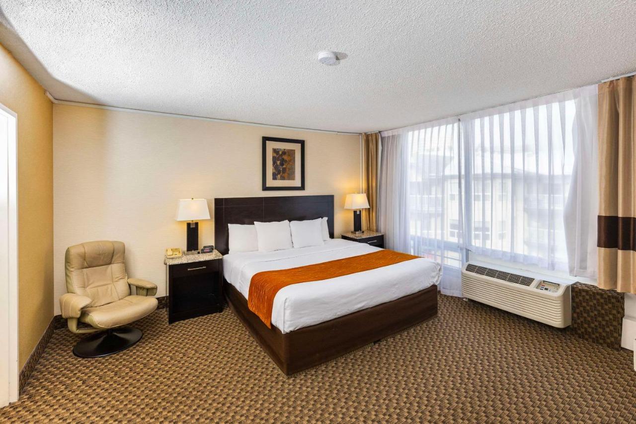 Comfort & Hotel