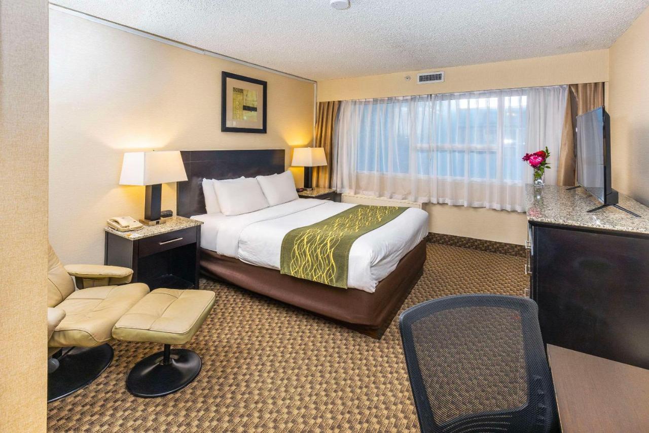 Comfort & Edmonton