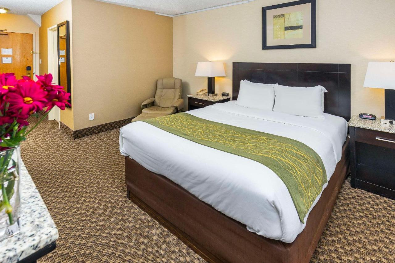 Comfort & 3* Edmonton