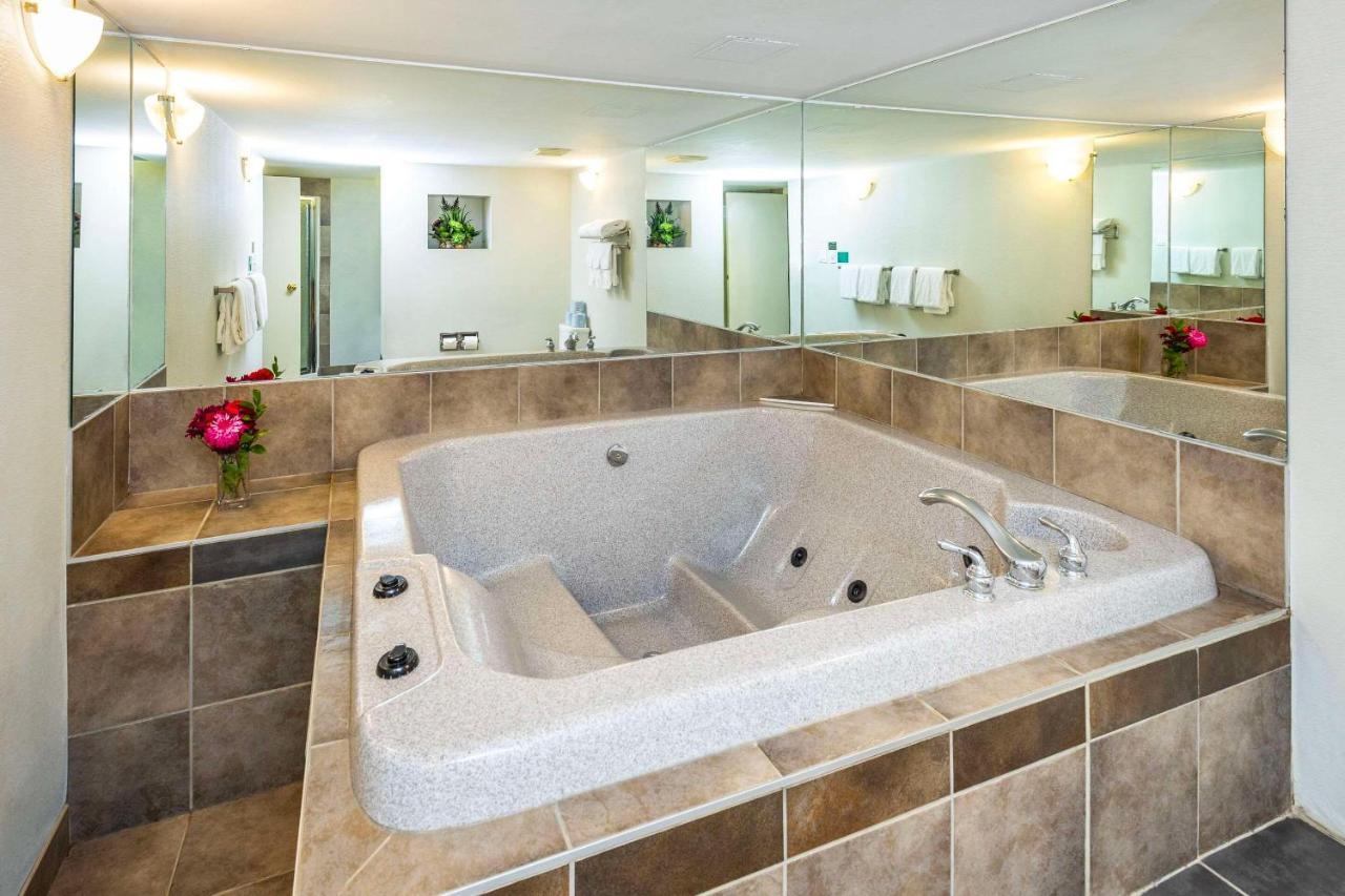 Comfort & 3* Edmonton
