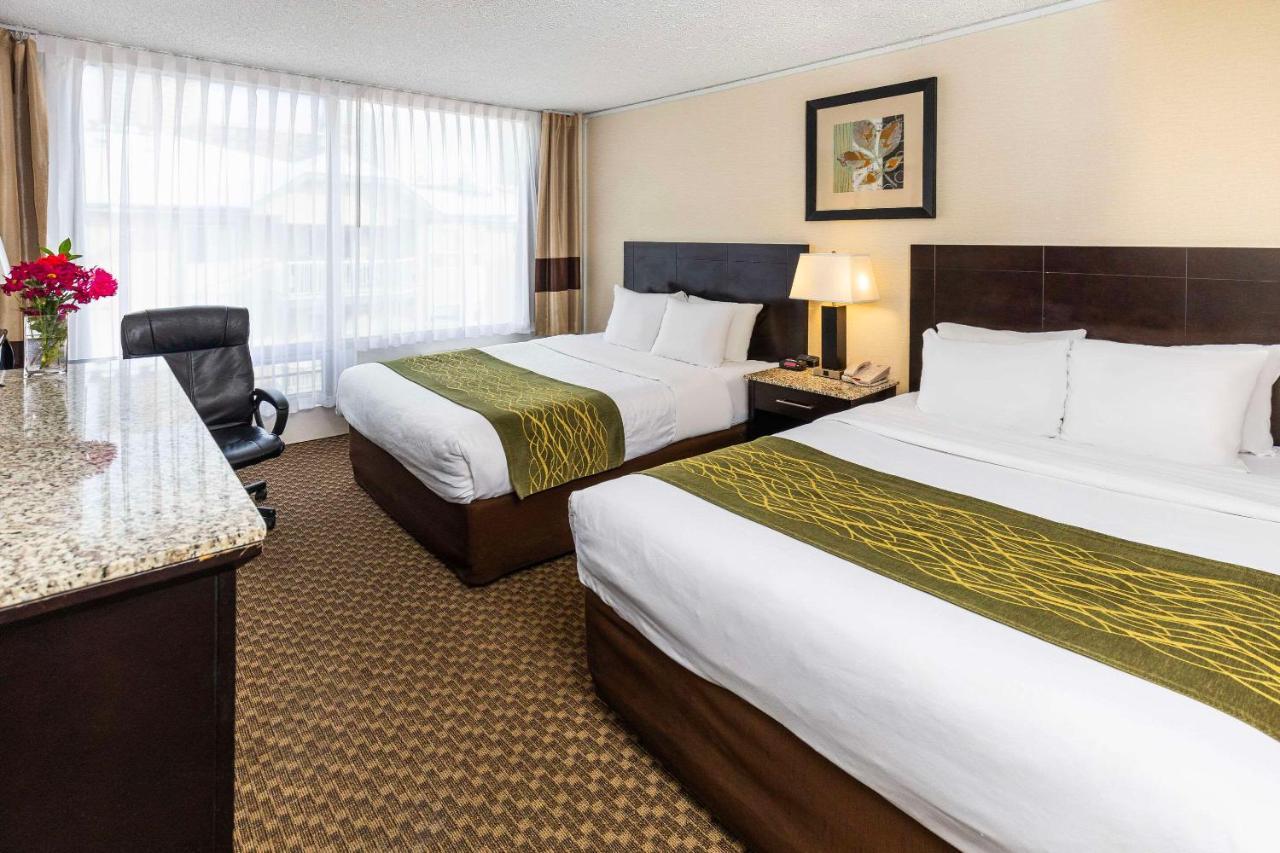 Hotel Comfort & Edmonton