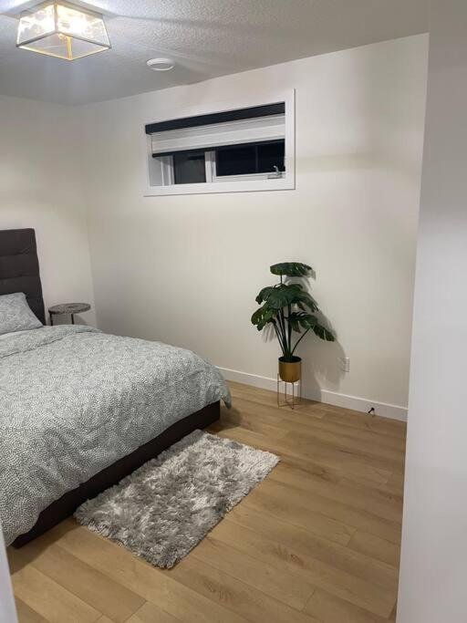Stylish 2 Bedroom In Sw Close To Windermere And International Airport *