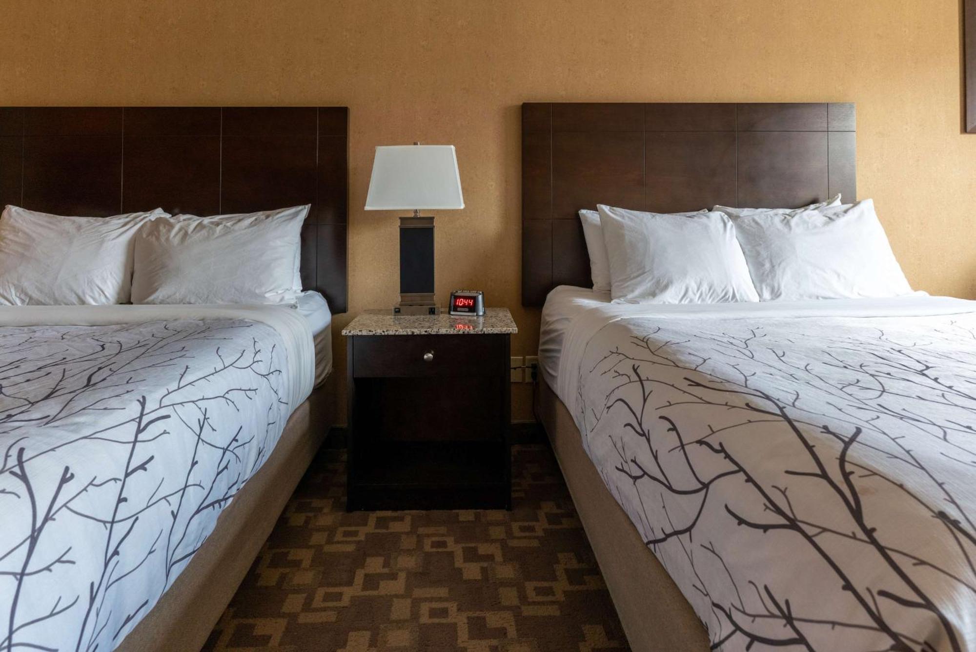 Western South & Hotel