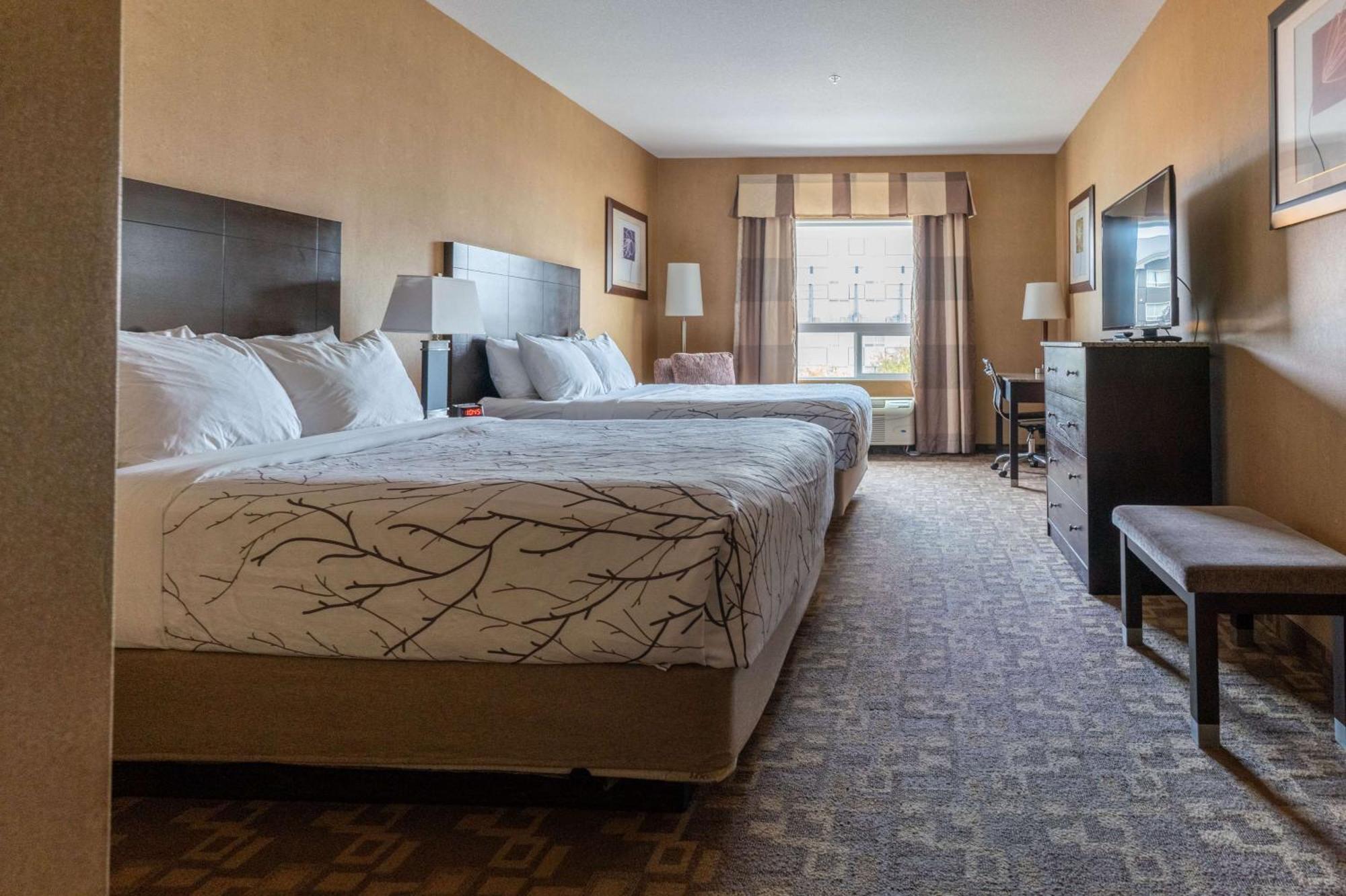 Western South & Hotel