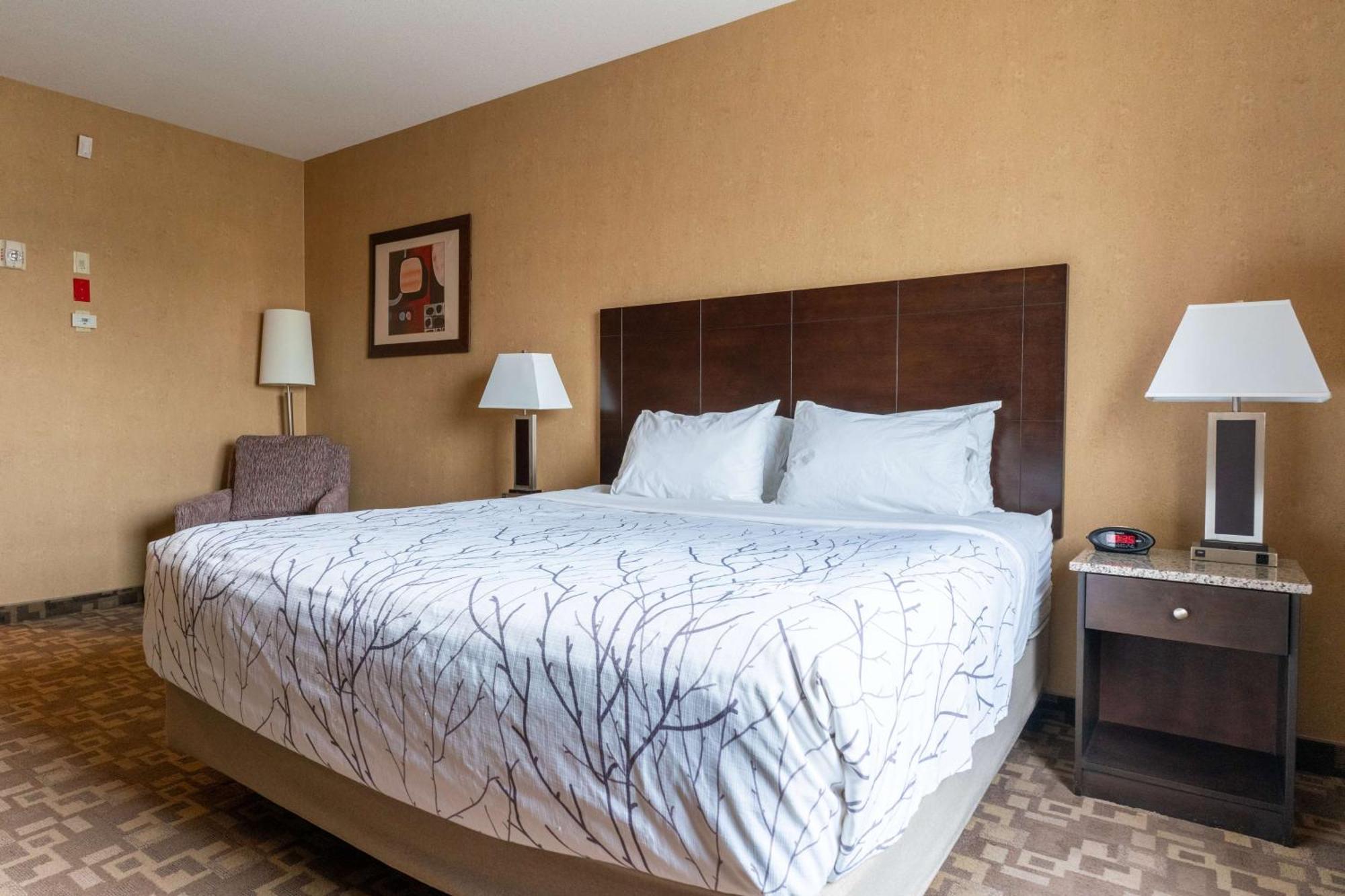 Hotel Western South &
