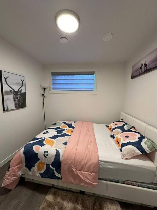 Brand New 1 Bedroom Basement Suite. Wi-fi,netflix Apartment *
