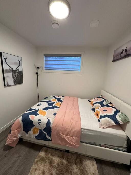 Brand New 1 Bedroom Basement Suite. Wi-fi,netflix