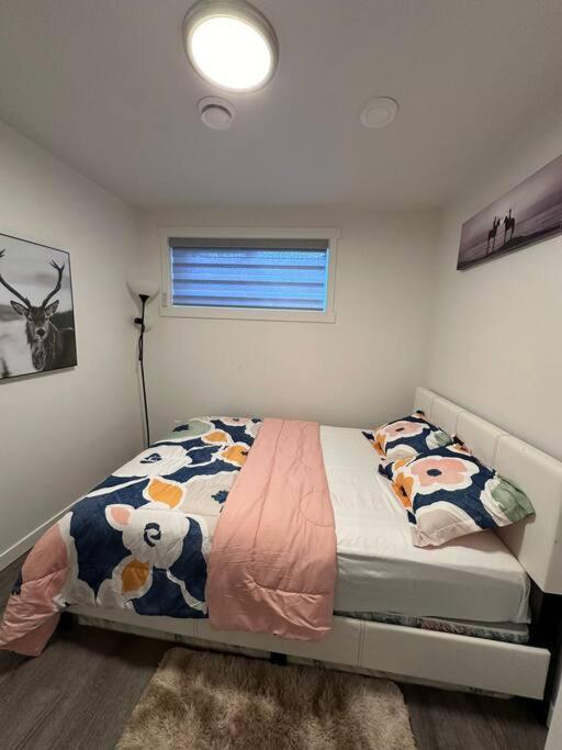 Brand New 1 Bedroom Basement Suite. Wi-fi,netflix * Edmonton