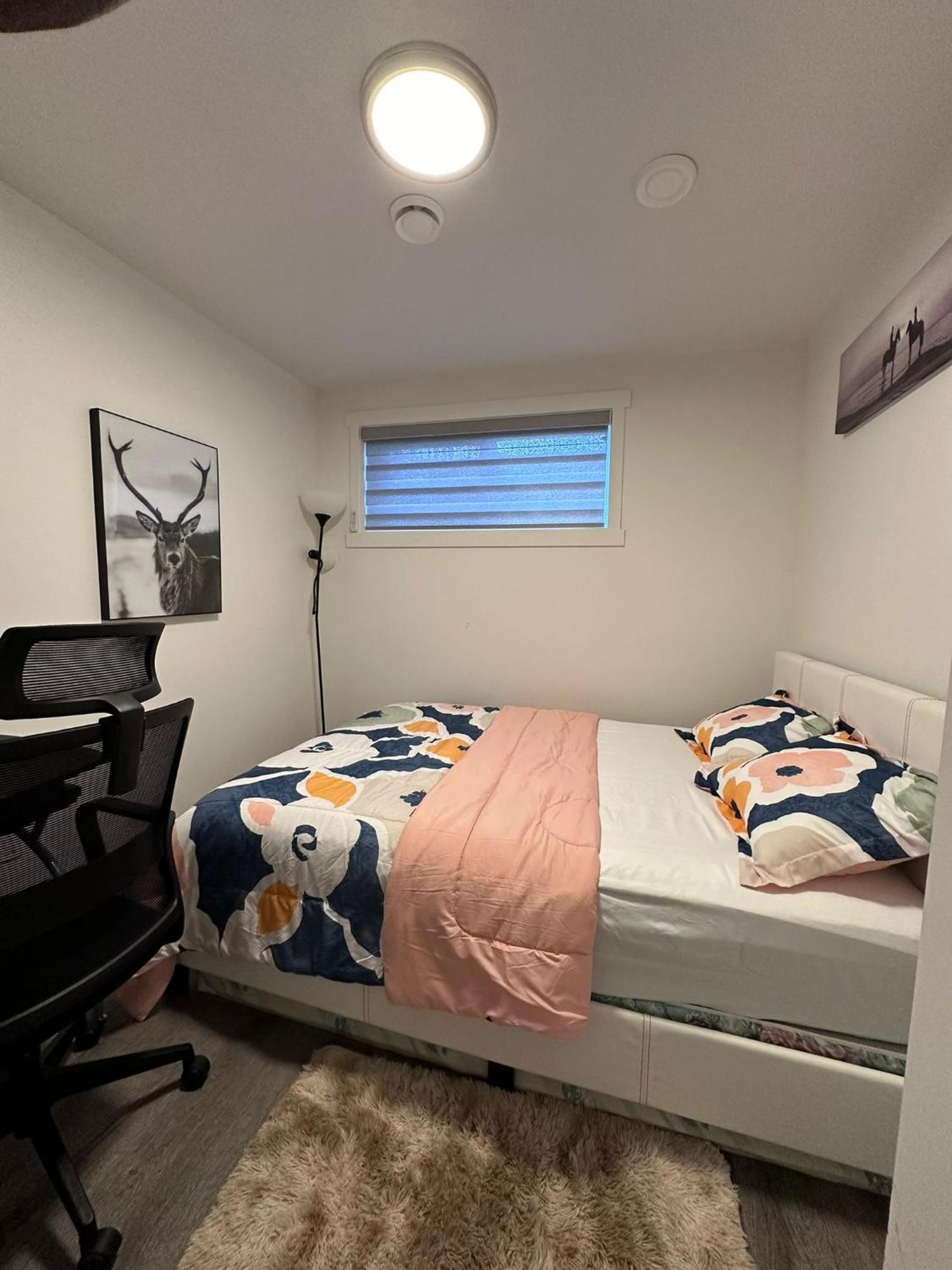 Brand New 1 Bedroom Basement Suite. Wi-fi,netflix Apartment
