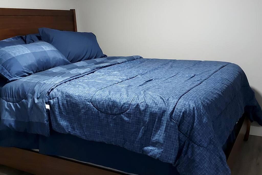 Apartment Cozy 2-bedroom Basement Guest With Private Entrance And Proximity To The Airport