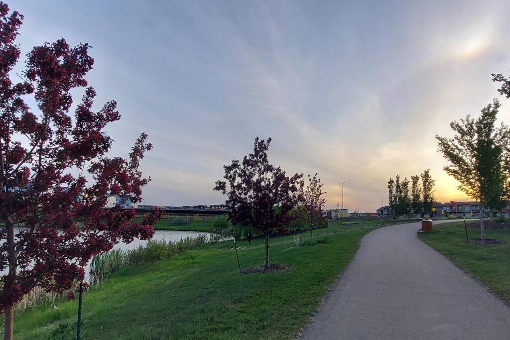 Cozy 2-bedroom Basement Guest With Private Entrance And Proximity To The Airport