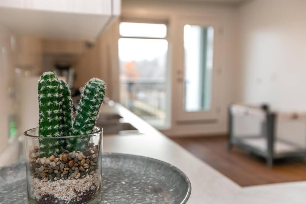 Industrial Romantic U/g Parking 5 Min To Dtn! Edmonton