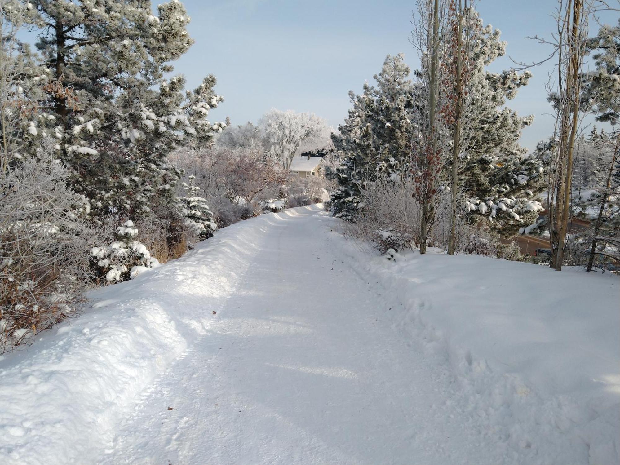 U Of A Homestay, Trails & Whyte Ave Homestay
