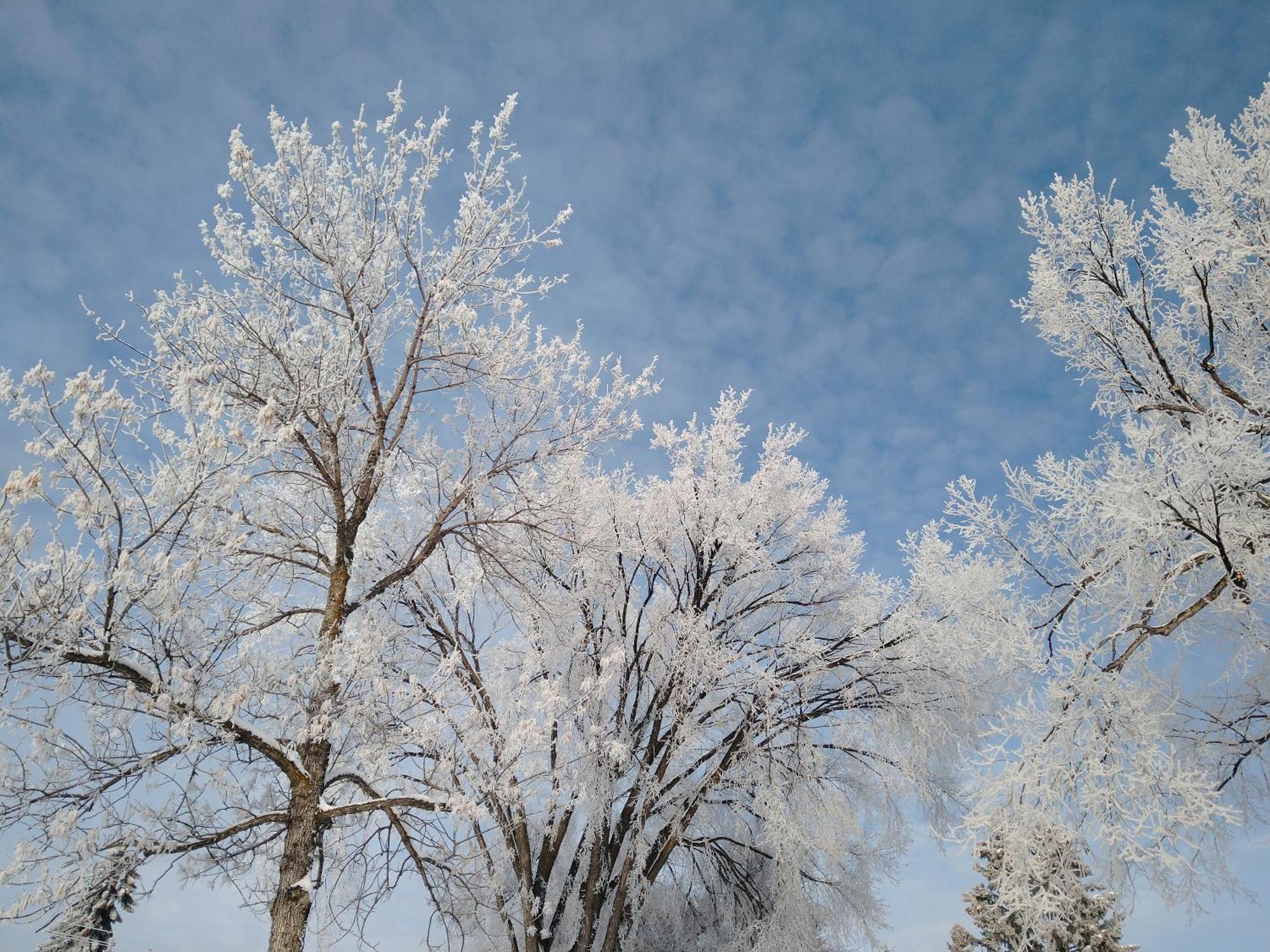 U Of A Homestay, Trails & Whyte Ave Homestay *