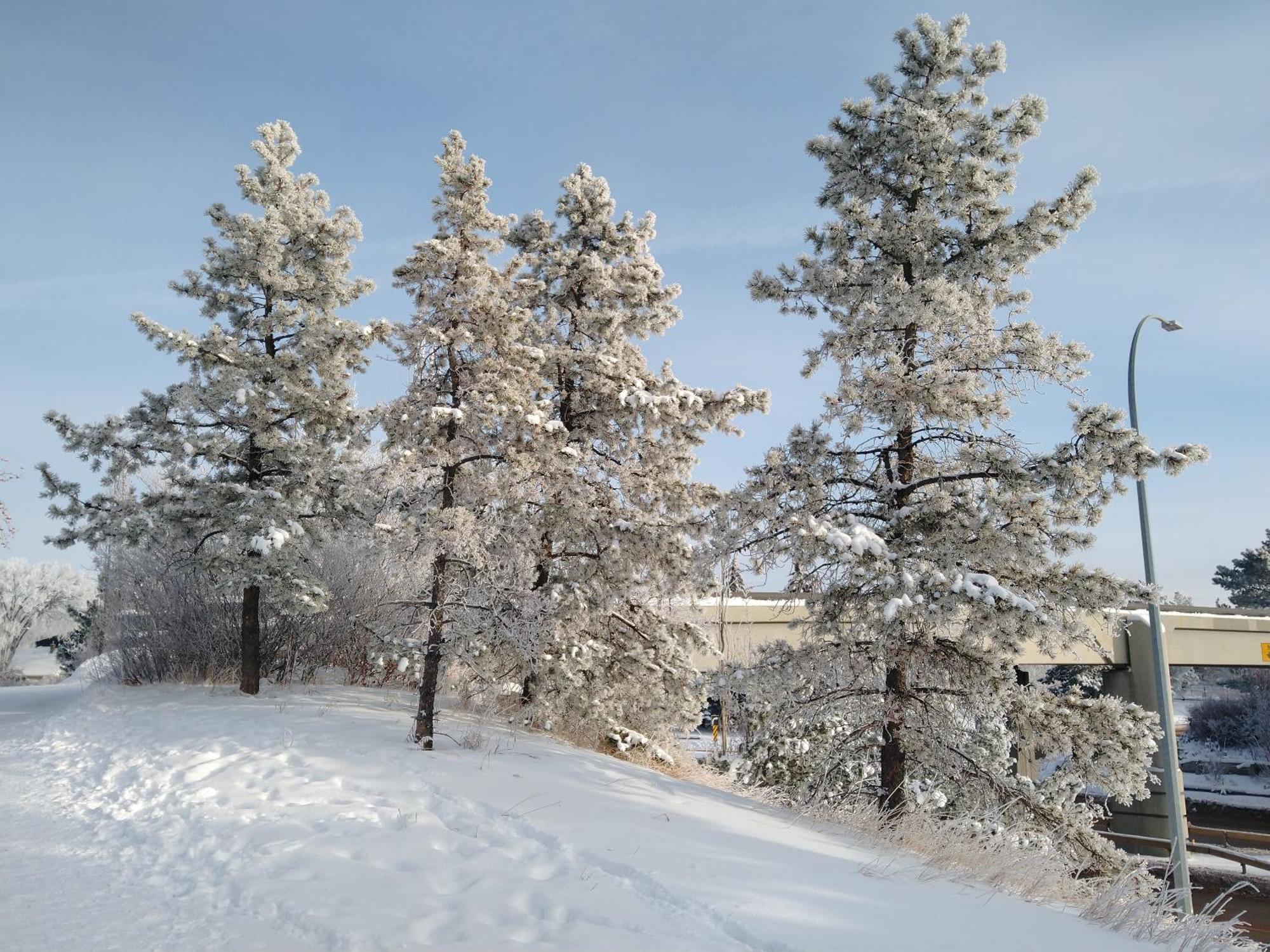 U Of A Homestay, Trails & Whyte Ave * Edmonton