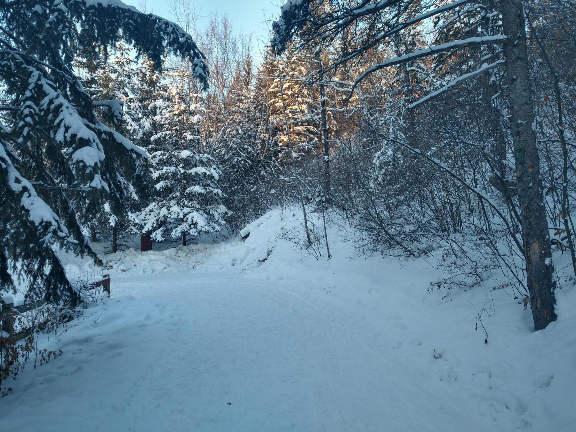 U Of A Homestay, Trails & Whyte Ave * Edmonton