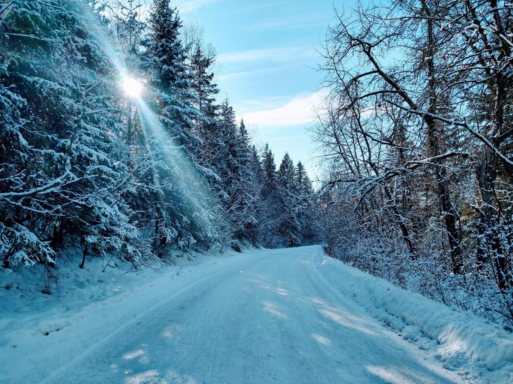 U Of A Homestay, Trails & Whyte Ave *