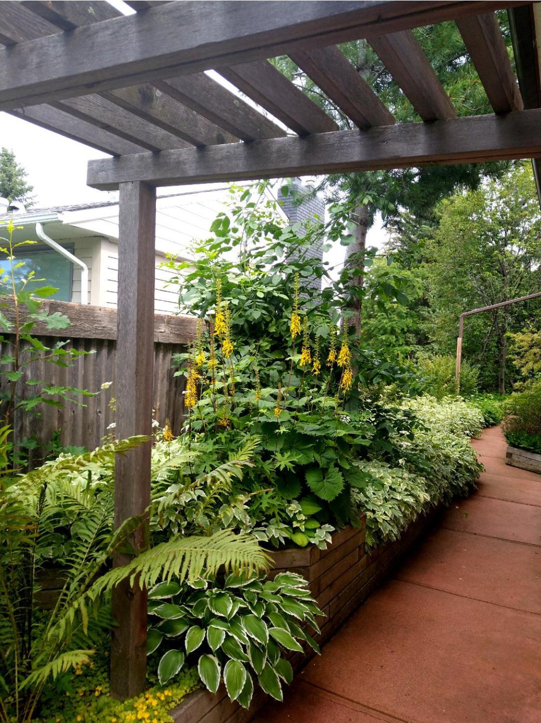 Homestay U Of A Homestay, Trails & Whyte Ave