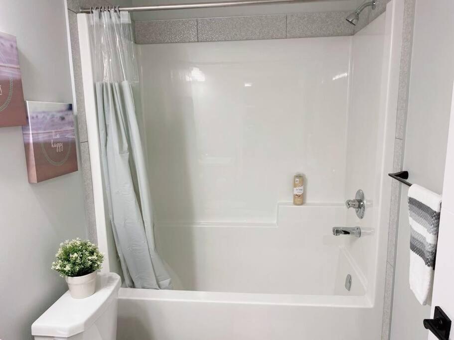 Folte's Away From 2 Bedrm Basement Apartment Edmonton