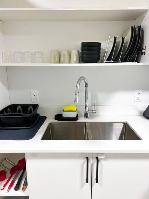Guest In Southwest Apartment *