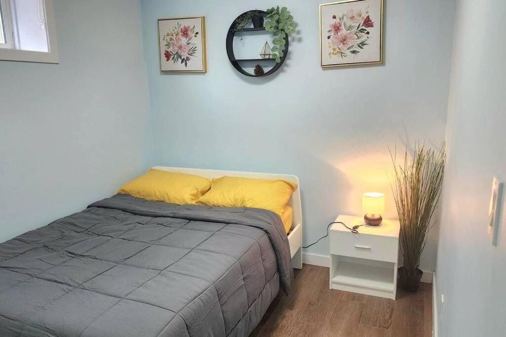 Lake View 2 Bedroom Basement Holiday home Edmonton