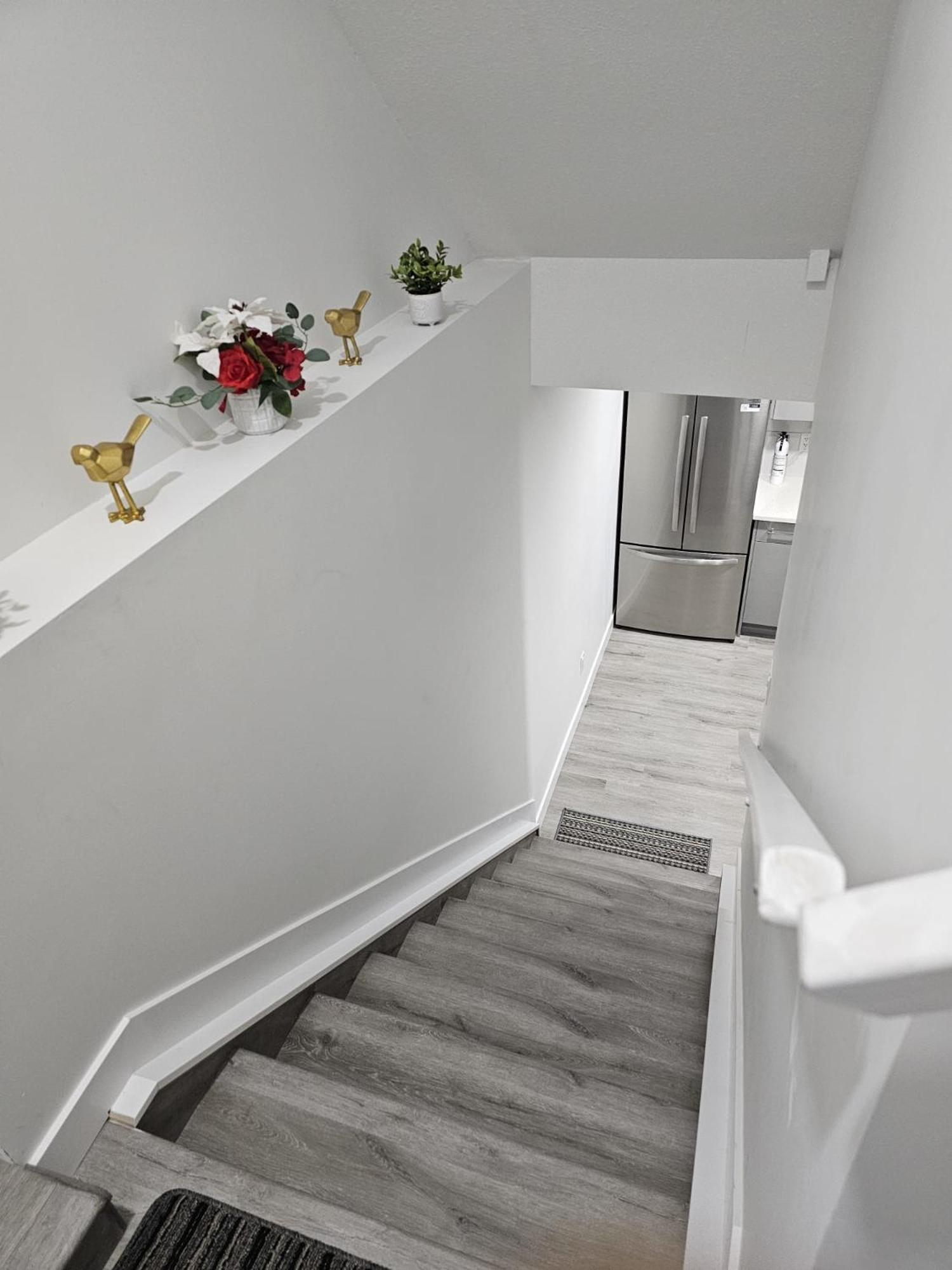 Contemporary Two Bedroom Basement Apartment Edmonton